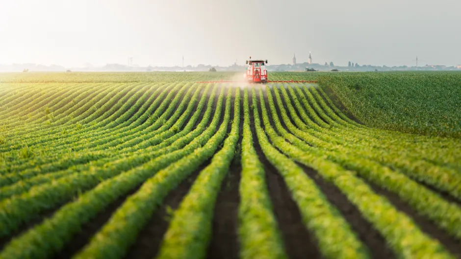 Traktor sprüht Pestizide auf Sojabohnenfeld